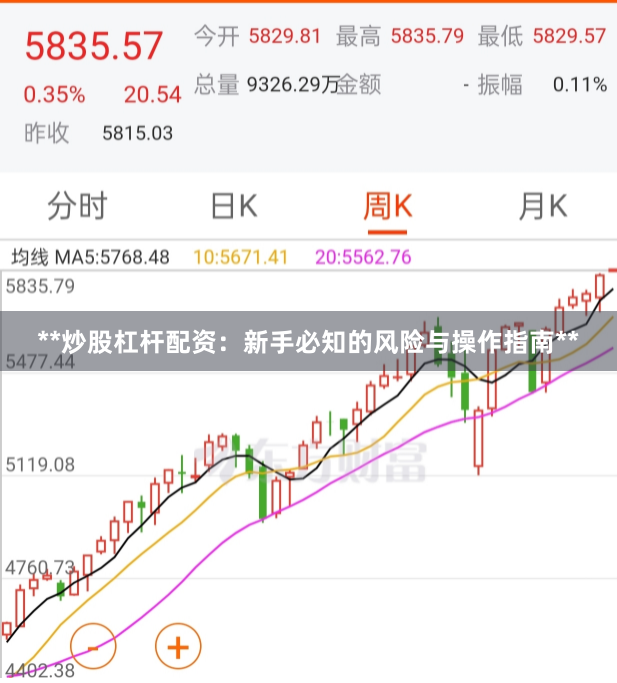 **炒股杠杆配资：新手必知的风险与操作指南**